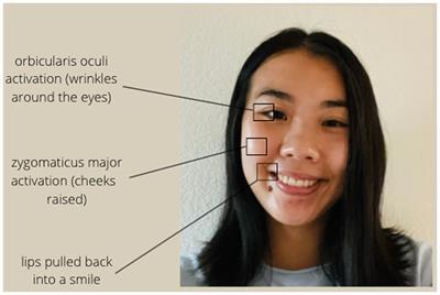 The association of negative mood with automatic and effortful facial expression mimicry